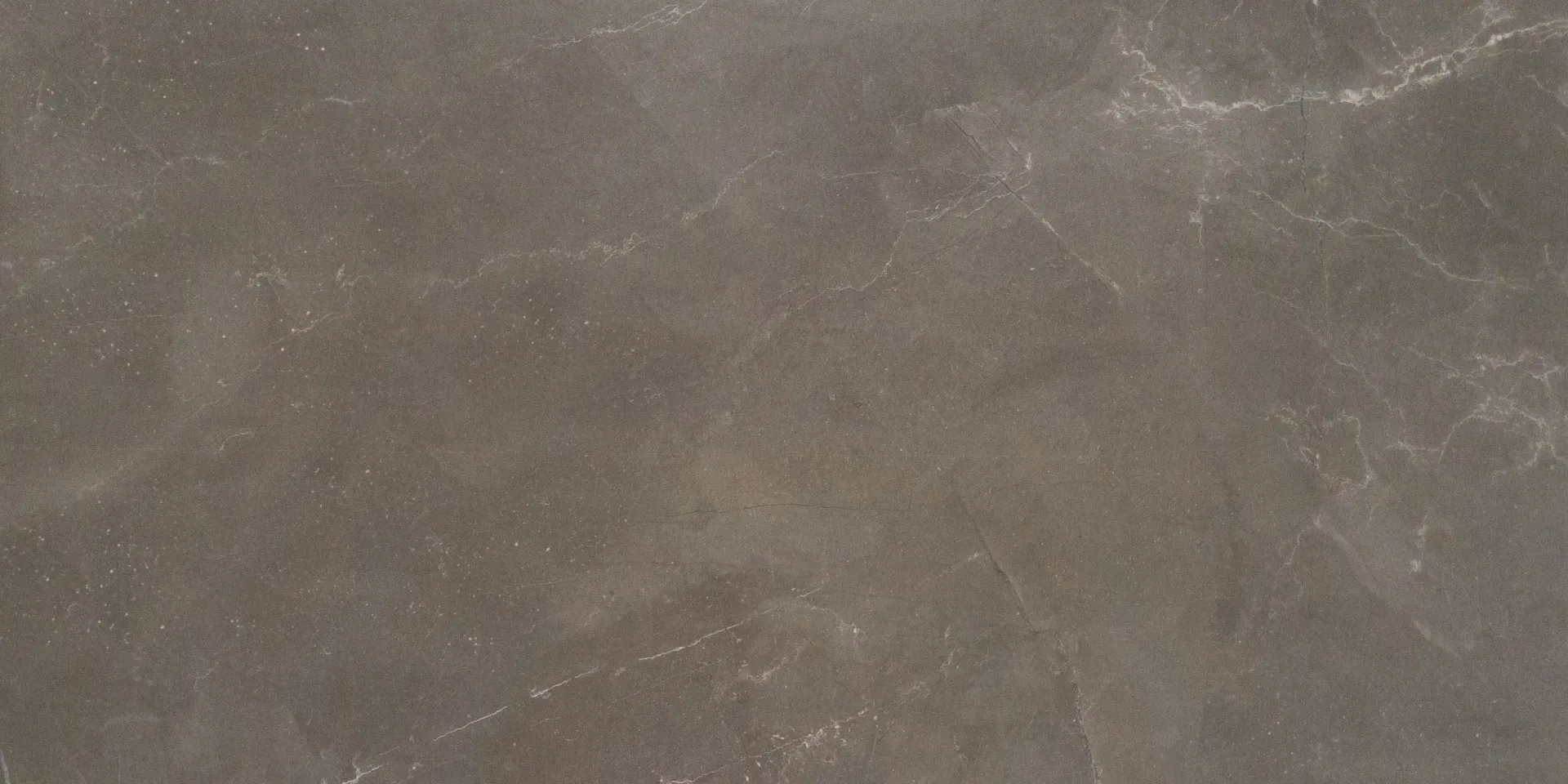 Pulpis Matte